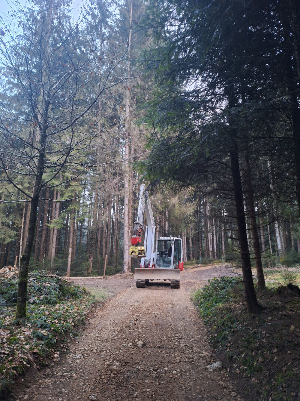 Waldweg, Schmid Erdbau, Erdbau Leiblachtal Waldweg, Schmid Erdbau, Erdbau Leiblachtal